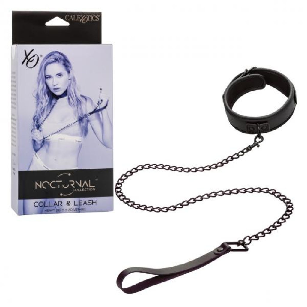 Nocturnal Collar & Leash - Collars & Leashes