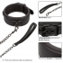 Nocturnal Collar & Leash - Collars & Leashes
