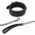 Nocturnal Collar & Leash - Collars & Leashes