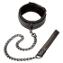 Boundless Collar & Leash - Collars & Leashes
