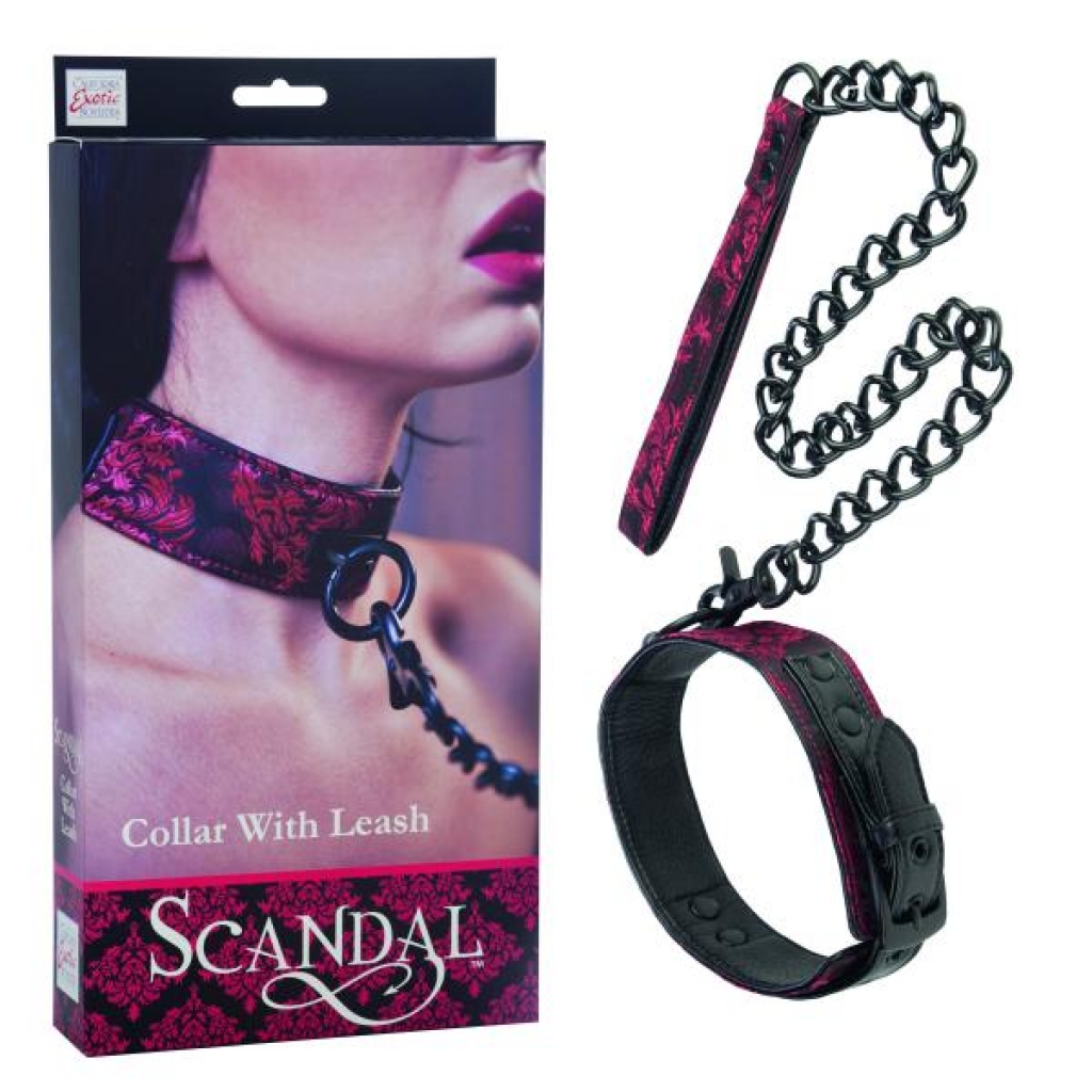 Scandal Collar w/Leash - Collars & Leashes