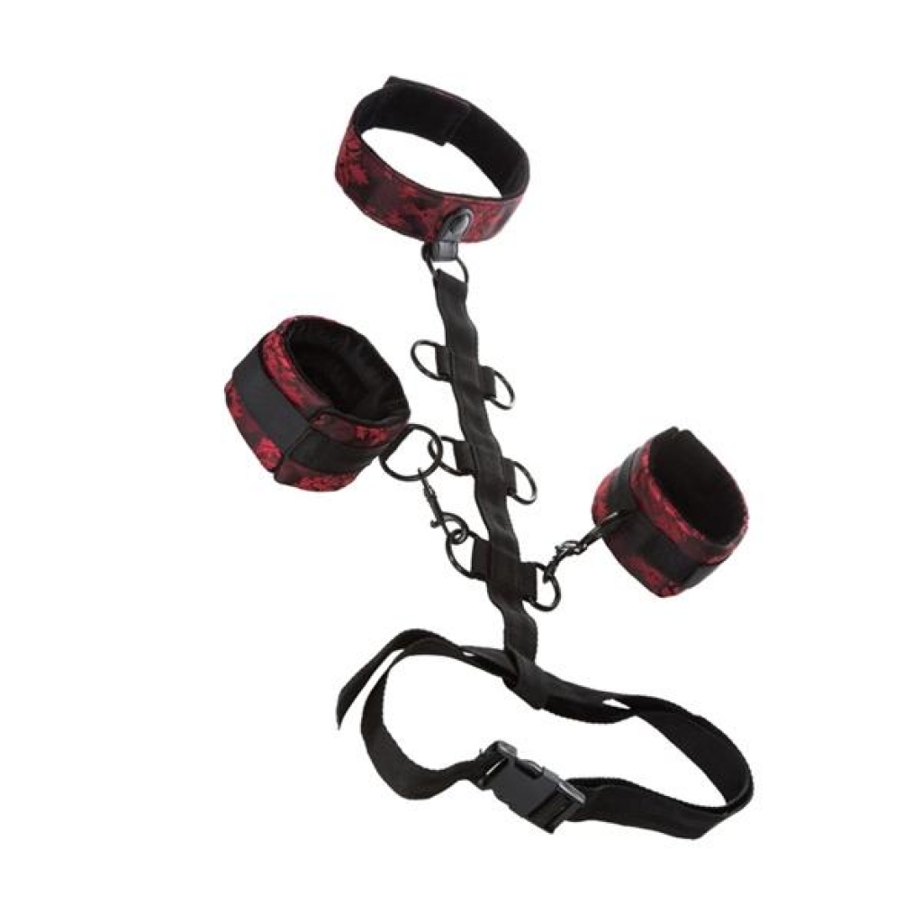 Scandal Collar Body Restraints - Collars & Leashes