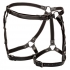 Euphoria Riding Thigh Harness - Harnesses