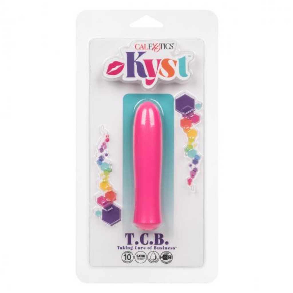 Kyst Taking Care Of Business Pink - Bullet Vibrators