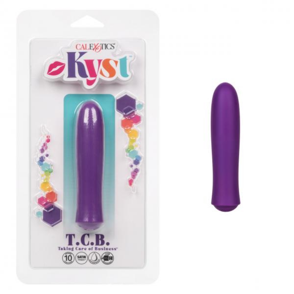 Kyst Taking Care Of Business Purple - Bullet Vibrators
