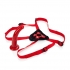 Red Rider Adjustable Strap On With 7 Inch Dong - Harness & Dong Sets