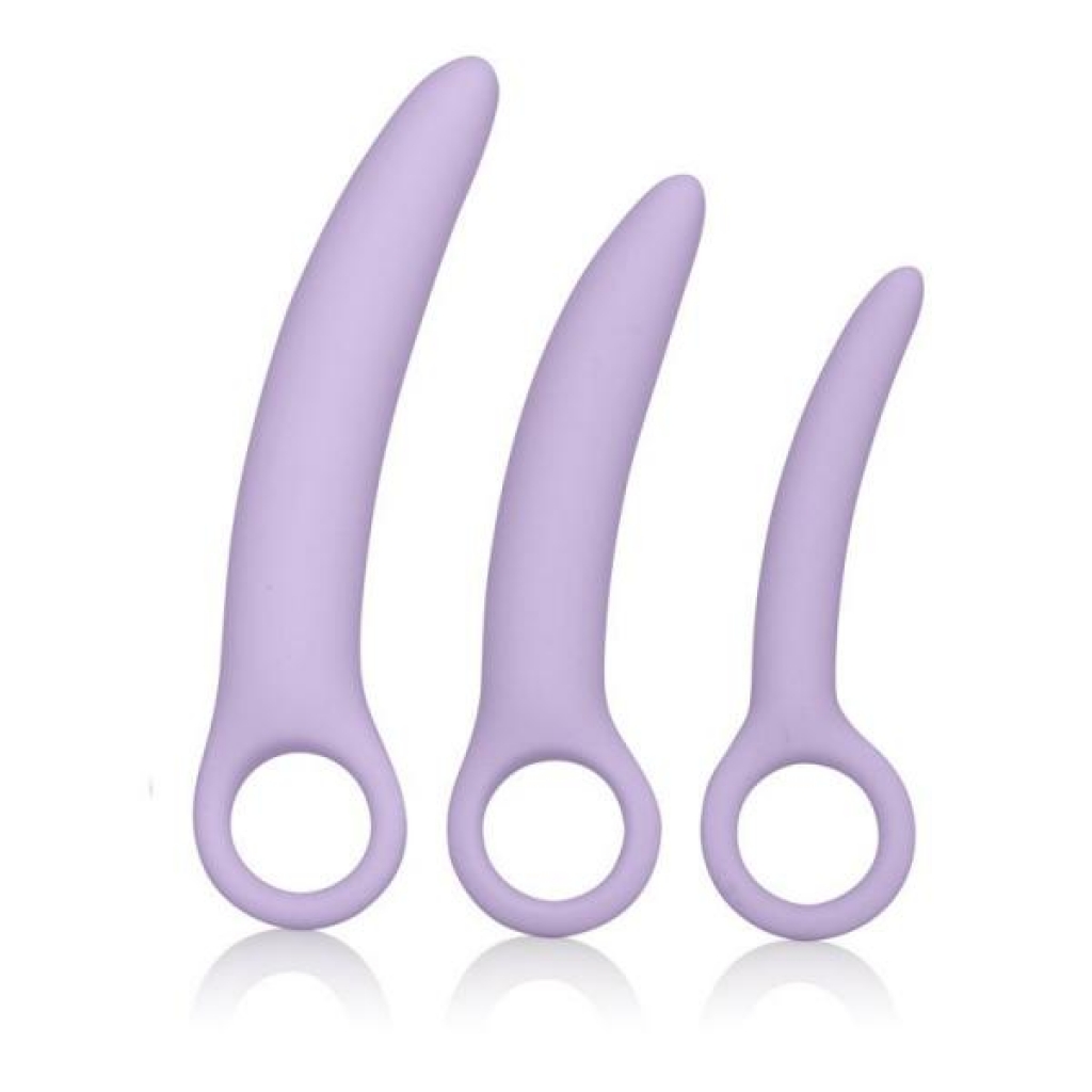 Dr Laura Berman Alena Set Of 3 Silicone Dilators - Kegel Exercisers