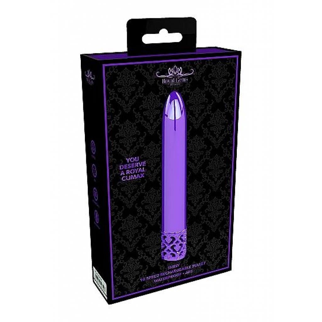 Royal Gems Shiny Purple Abs Bullet Rechargeable - Traditional