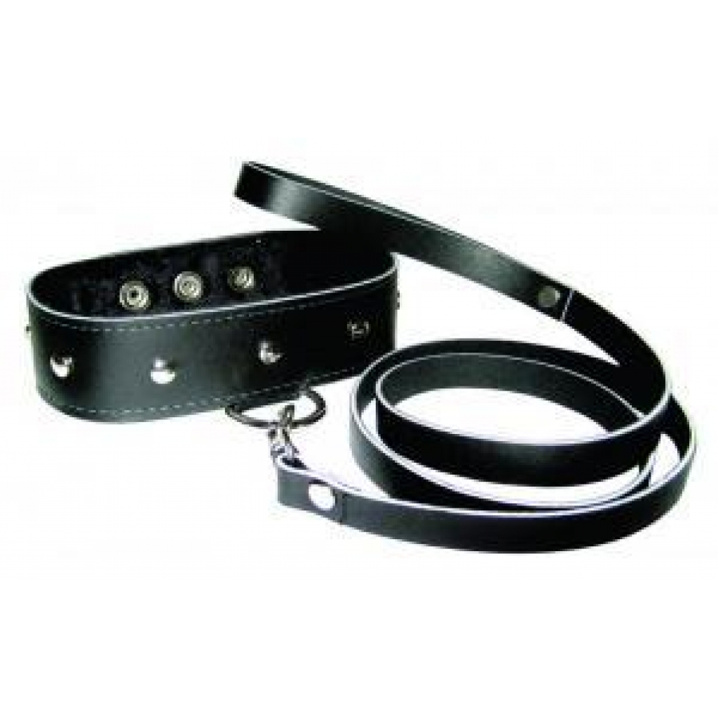 Leather Leash & Collar Set - Collars & Leashes