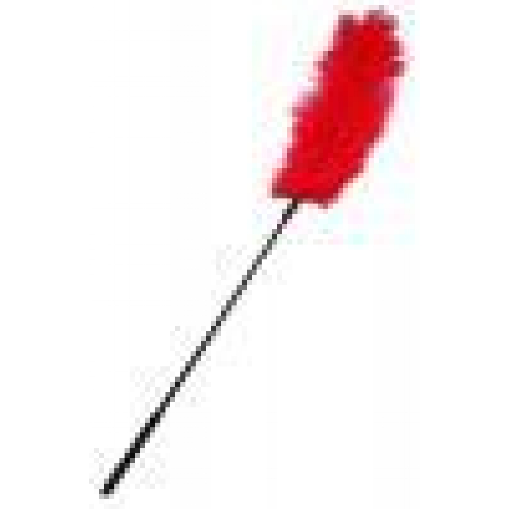 Red Ostrich Tickler - A Fun Sensation Tool