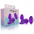 Cheeky Charms Vibrating Metal Plug - Purple Small with Remote