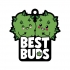 Best Buds Air Freshener (net) - Gag & Joke Gifts