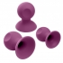 Cloud 9 Health & Wellness Nipple & Clitoral Massager Suction Set Plum - Nipple Pumps