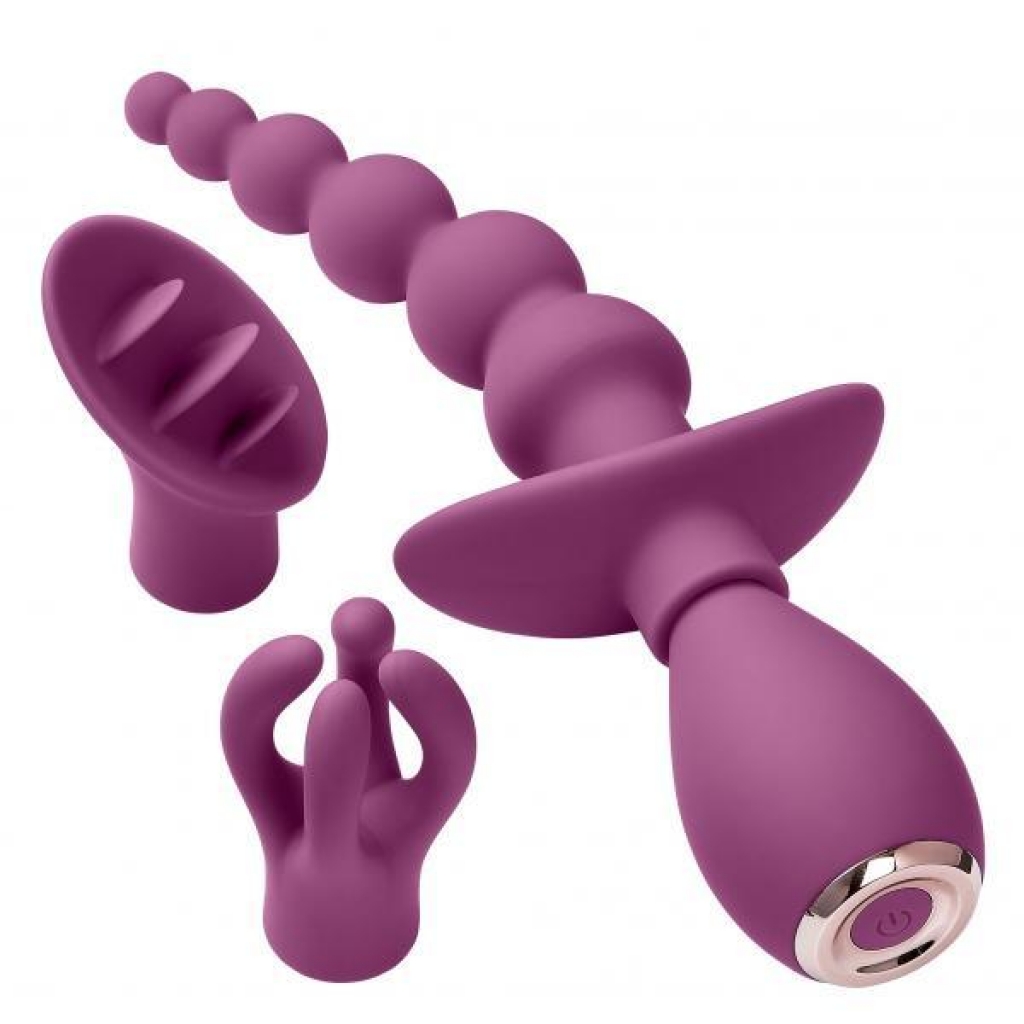 Cloud 9 Health & Wellness Anal Clitoral & Nipple Massager Kit Plum - Kits & Sleeves