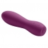 Cloud 9 Pro Sensual Power Touch - Versatile Plum Vibrator