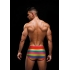 Envy Rainbow Pride Brief Red S/m - Mens Underwear