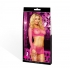 Lapdance Industrial Net Top & Mini Combo - Pink