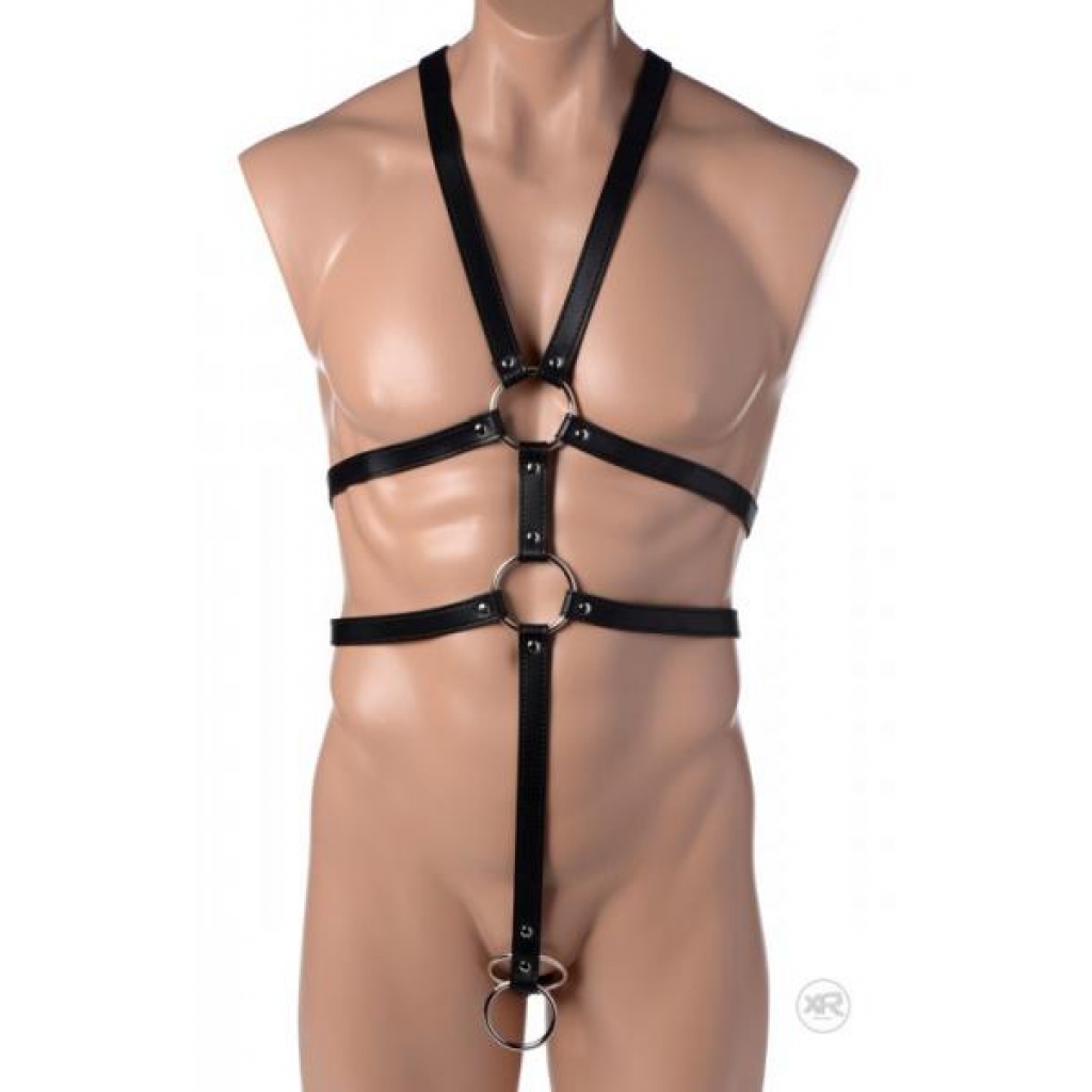 Male Full Body Harness in Black Leather