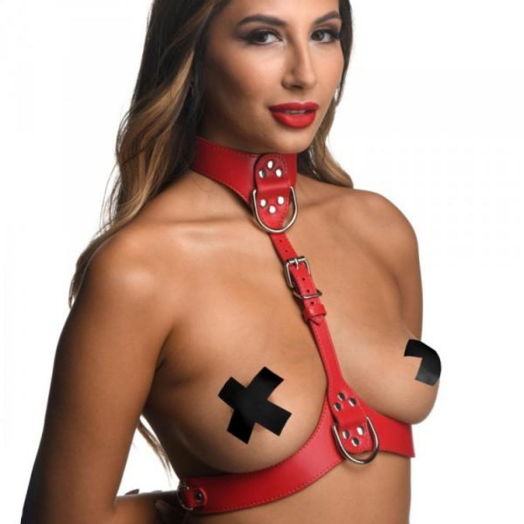 Strict Female Chest Harness M/l Red - Dildos