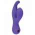 Touch By Swan Solo G Spot Vibrator Purple - Rabbit Vibrators