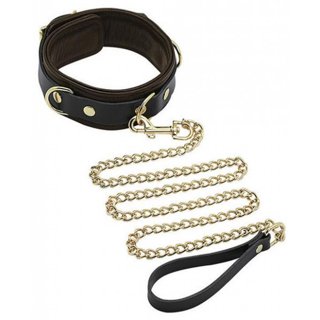 Spartacus Collar & Leash Brown Leather Gold Accent Hardware - Collars & Leashes