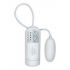 White Nights Bullet Vibrator and Controller