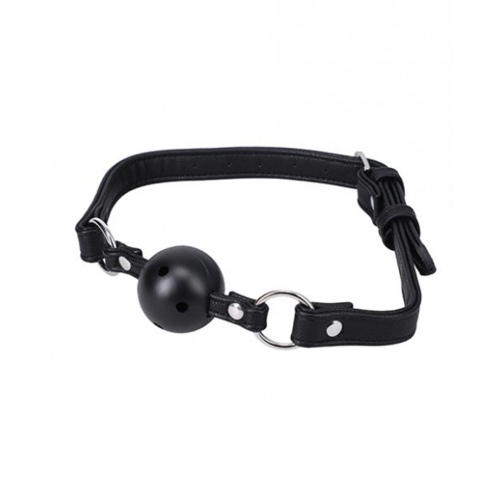 In A Bag Ball Gag - Black - Ball Gags