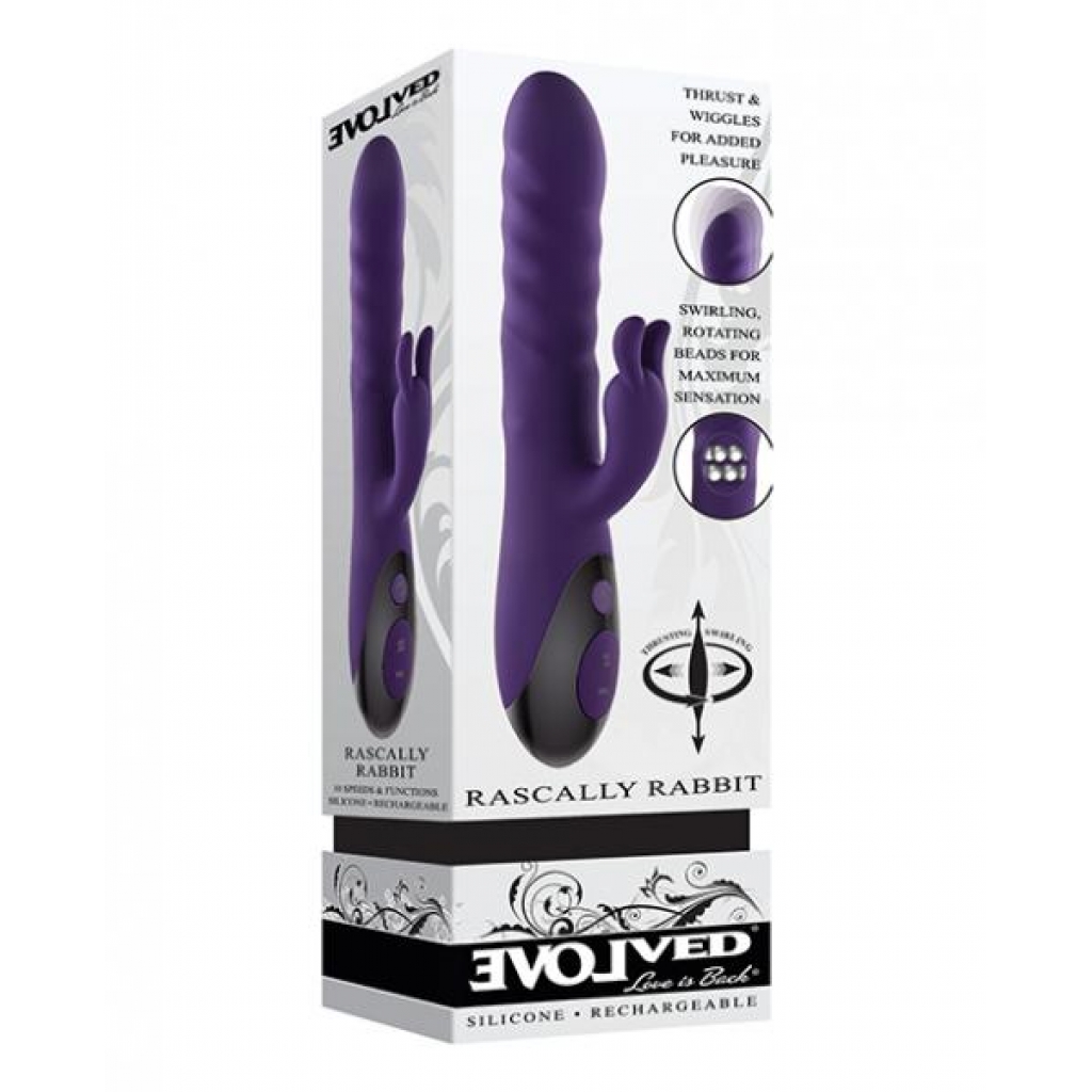 Evolved Rascally Rabbit - Purple - Rabbit Vibrators