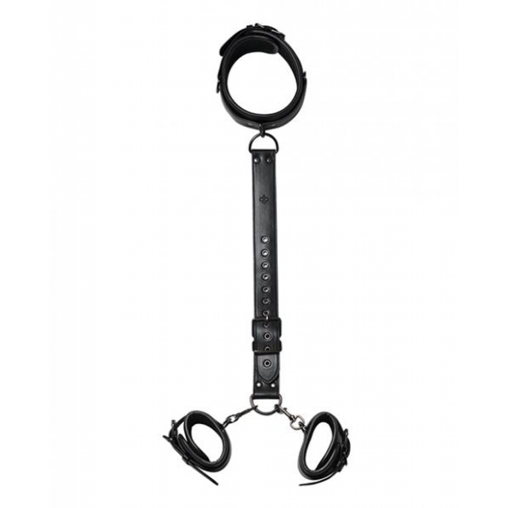 Locking Harness Collar with Wrist Restraints - Black