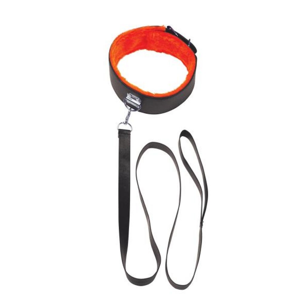 Black Orange Short Leash - Collars & Leashes