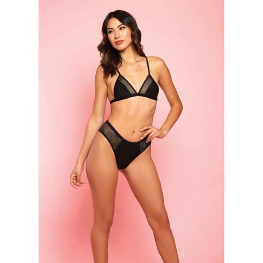 Amnesia Haze Bra & Panty Black Xl - Bra Sets