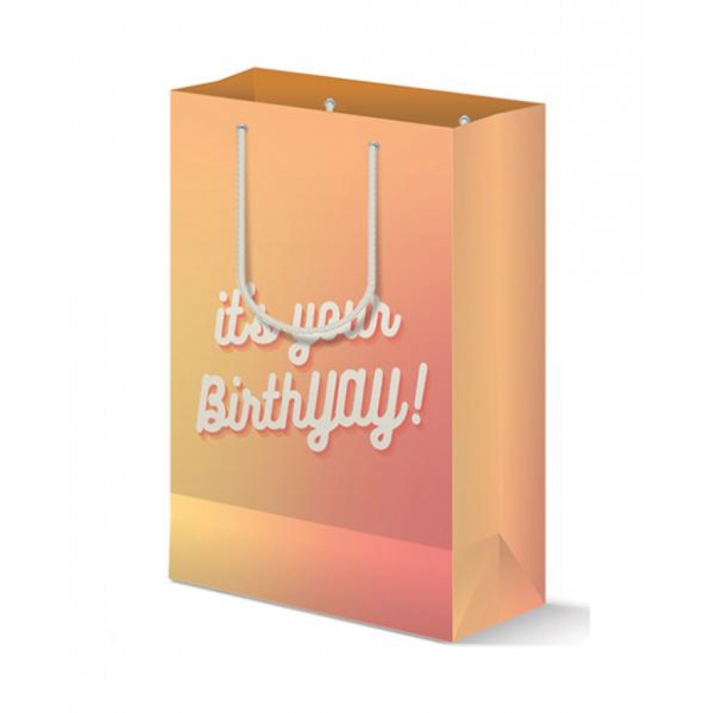 Birthyay Gift Bag - Gift Wrapping & Bags