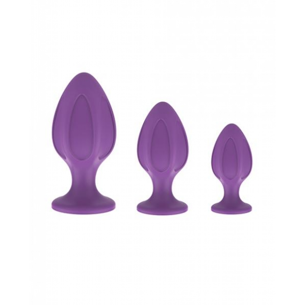 Nobu Rainbow Silicone Plug Set - Purple - Anal Trainer Kits