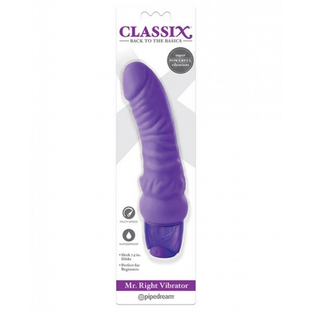 Classix Mr Right Vibrator - Purple - Realistic