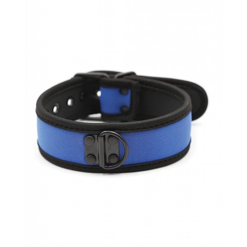 Plesur Neoprene Puppy Collar - Blue - Collars & Leashes