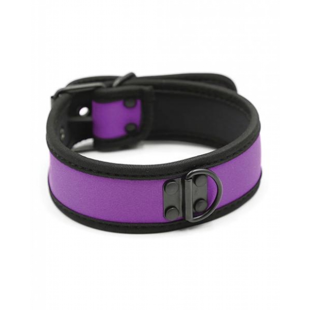 Plesur Neoprene Puppy Collar - Purple - Collars & Leashes