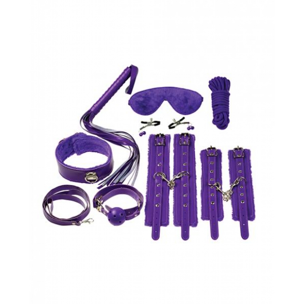 Everything Bondage 12 Piece Kit - Purple - BDSM Kits