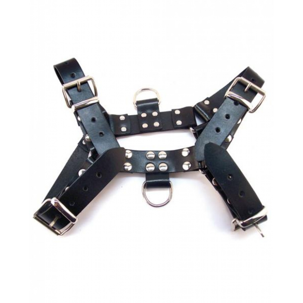 Adjustable Large Harness with D-Rings