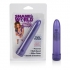 Shane's World Sparkle Vibrator - Purple - Traditional