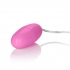 Pocket Exotics Pink Passion Bullet Vibrators - Bullet Vibrators