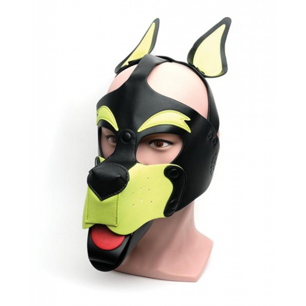 665 Playful Pup Hood - O/s Black/yellow - Hoods & Goggles