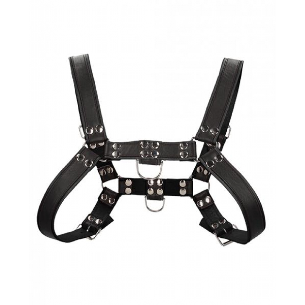 Shots Uomo Chest Bulldog Harness Small/medium - Black - Fetish Clothing