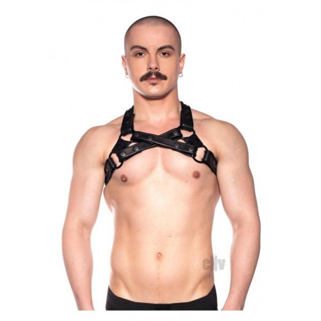 Prowler Red Cross Harness - Stunning Black S/M