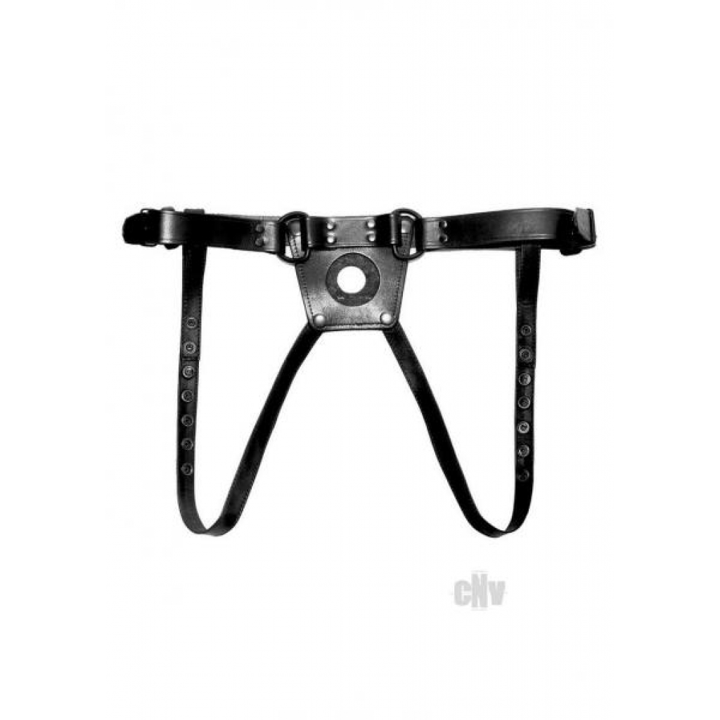 Prowler Red Dong Harness Lg Blk - Harnesses