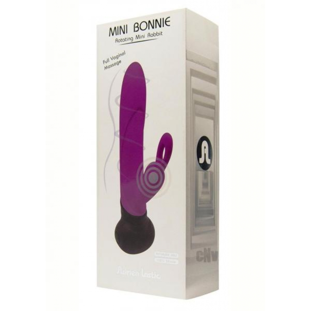 Mini Bonnie And Clyde Purple/black - Rabbit Vibrators