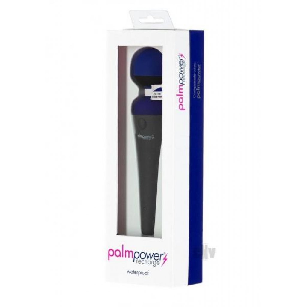 Palmpower Recharge Massager Blue - Body Massagers