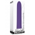 Evolved Rechargeable Slim Purple 7 Function Vibrator - Traditional