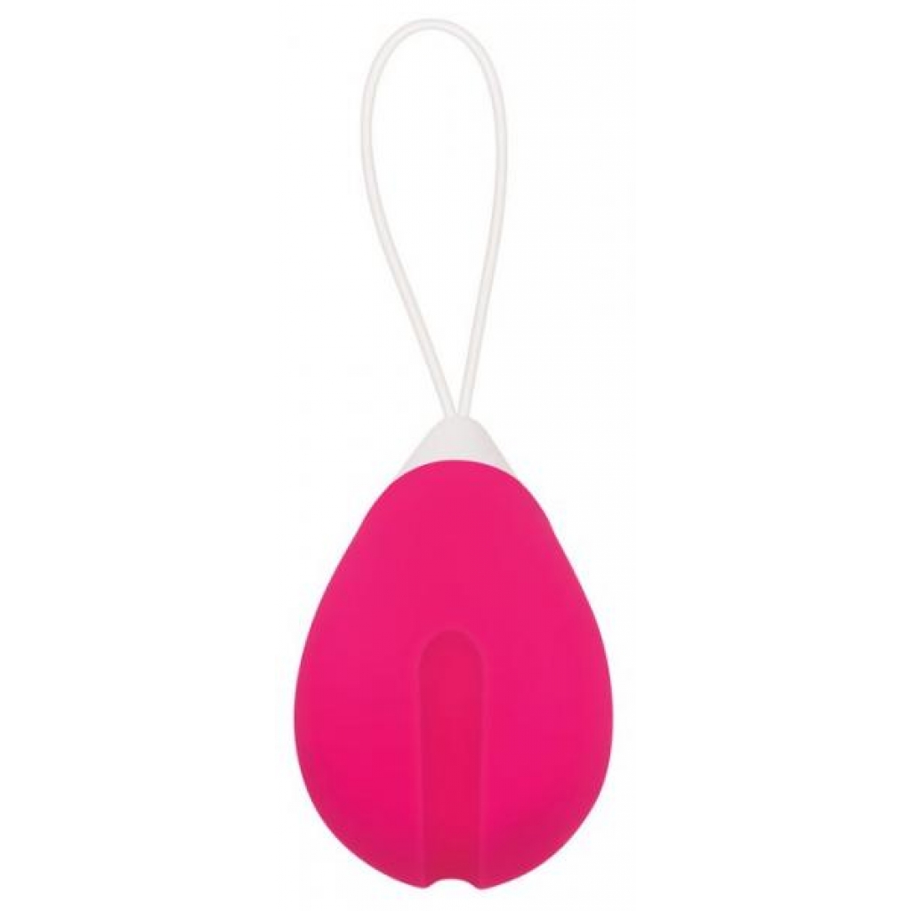 Rechargeable Remote Control Egg Vibrator Pink - Bullet Vibrators