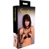 Sportsheets Collar With Nipple Clamps - Nipple Clamps