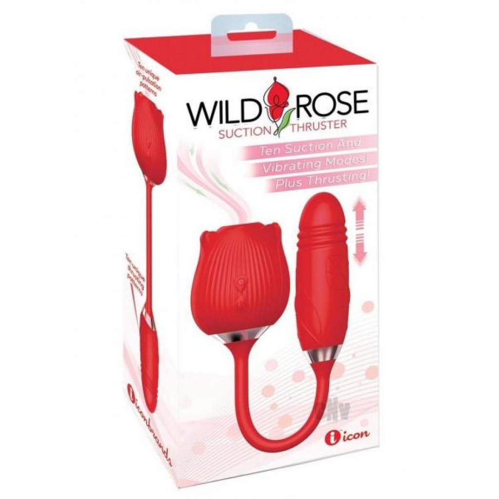 Wild Rose And Thruster - Modern Vibrators